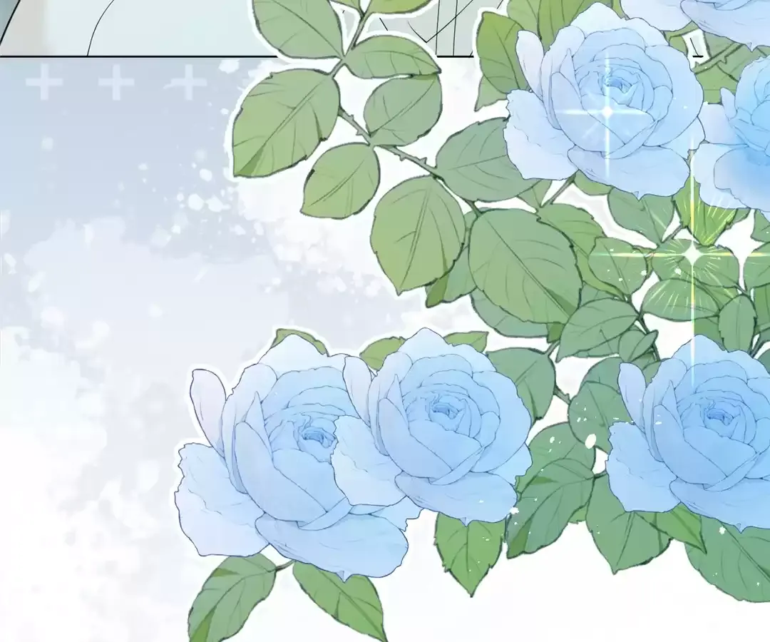 The Unlikely Union with A Comatose Billionaire Chapter 35 page 155 - 