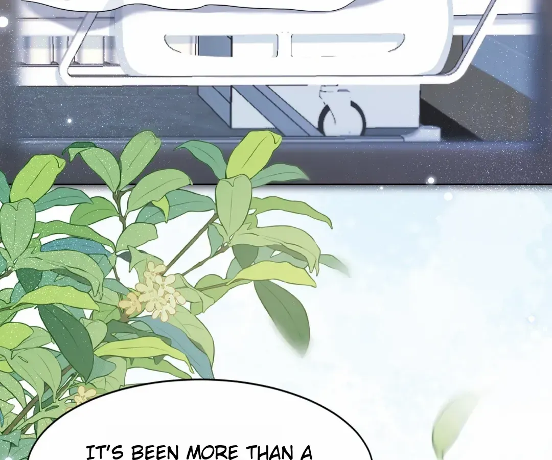 The Unlikely Union with A Comatose Billionaire Chapter 38 page 89 - 