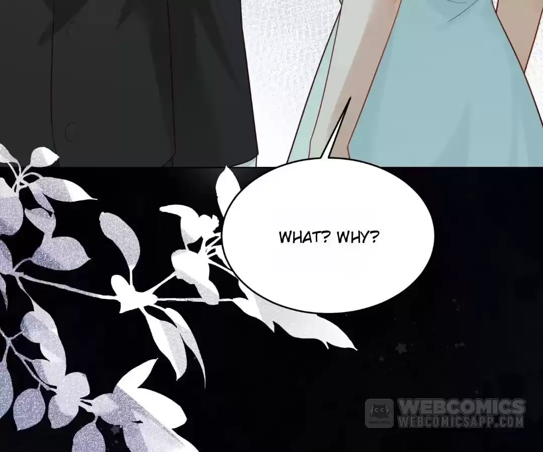 The Unlikely Union with A Comatose Billionaire Chapter 57 page 156 - 