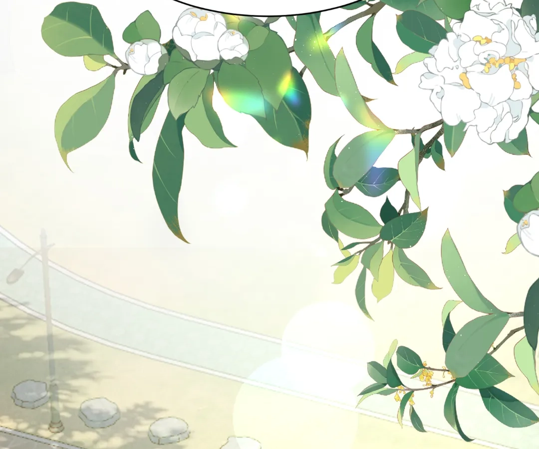 The Unlikely Union with A Comatose Billionaire Chapter 64 page 72 - 