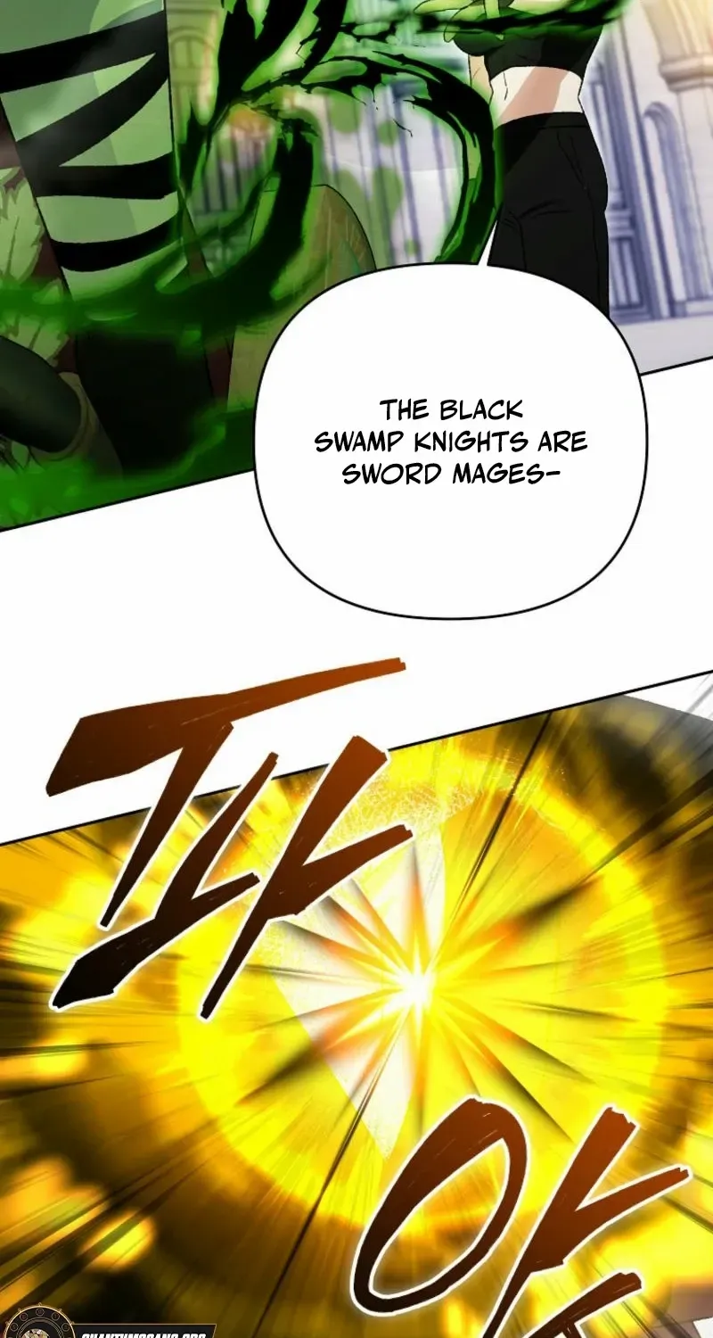The Unorthodox Genius of the House of Darkness Chapter 12 page 35 - 