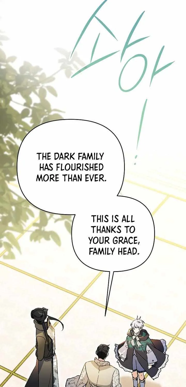 The Unorthodox Genius of the House of Darkness Chapter 29 page 27 - 