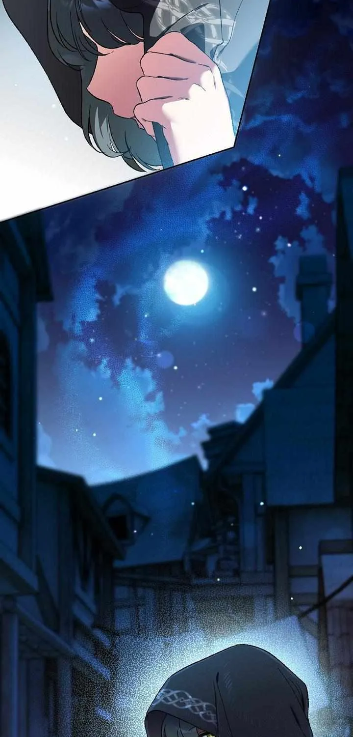 The Unorthodox Genius of the House of Darkness Chapter 33 page 11 - 