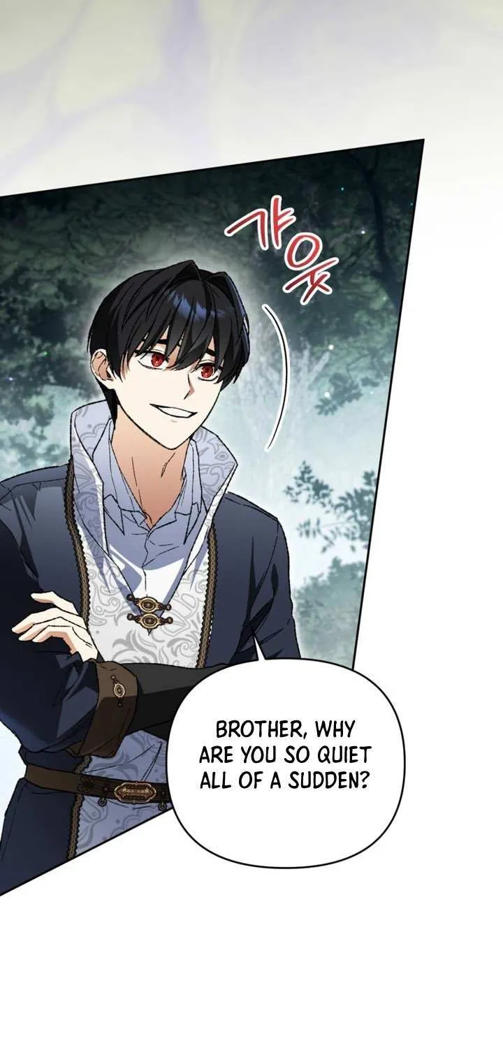 The Unorthodox Genius of the House of Darkness Chapter 41 page 29 - 