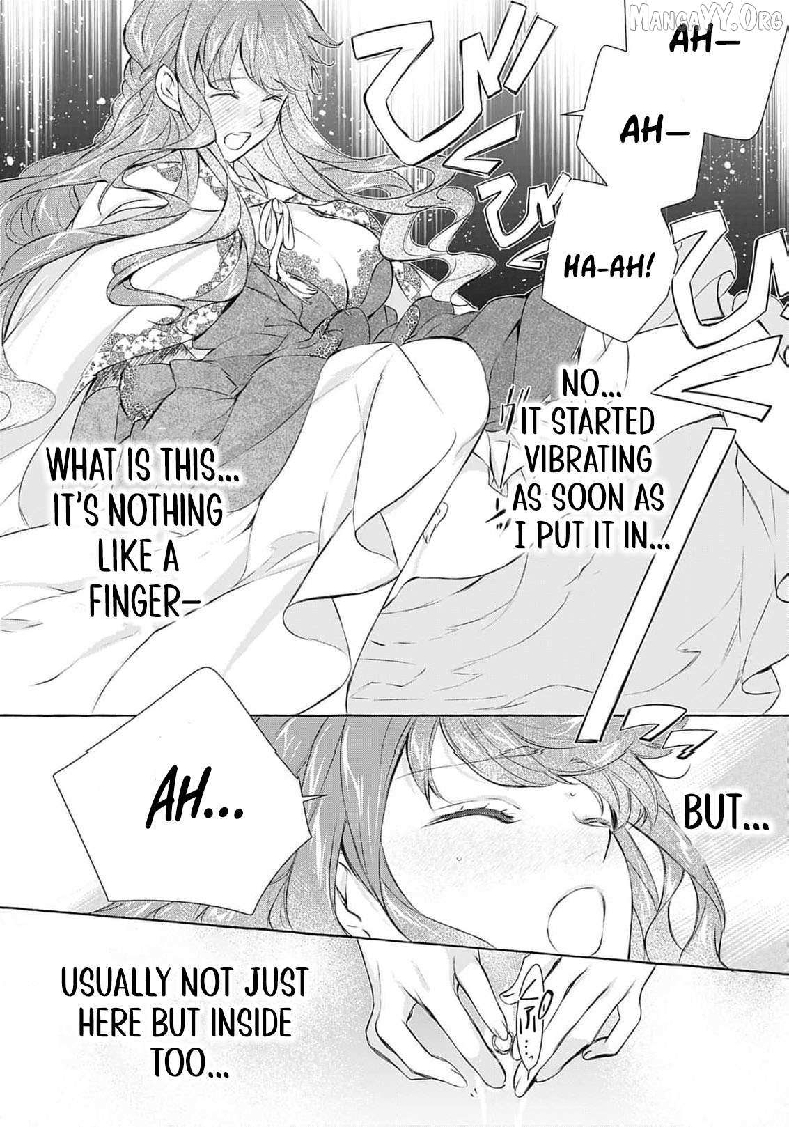 The Uptight Noble Lady and Her Flirtatious Prince Chapter 10 page 28 - 