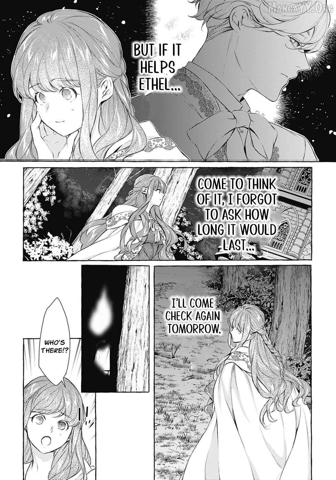 The Uptight Noble Lady and Her Flirtatious Prince Chapter 10 page 34 - 