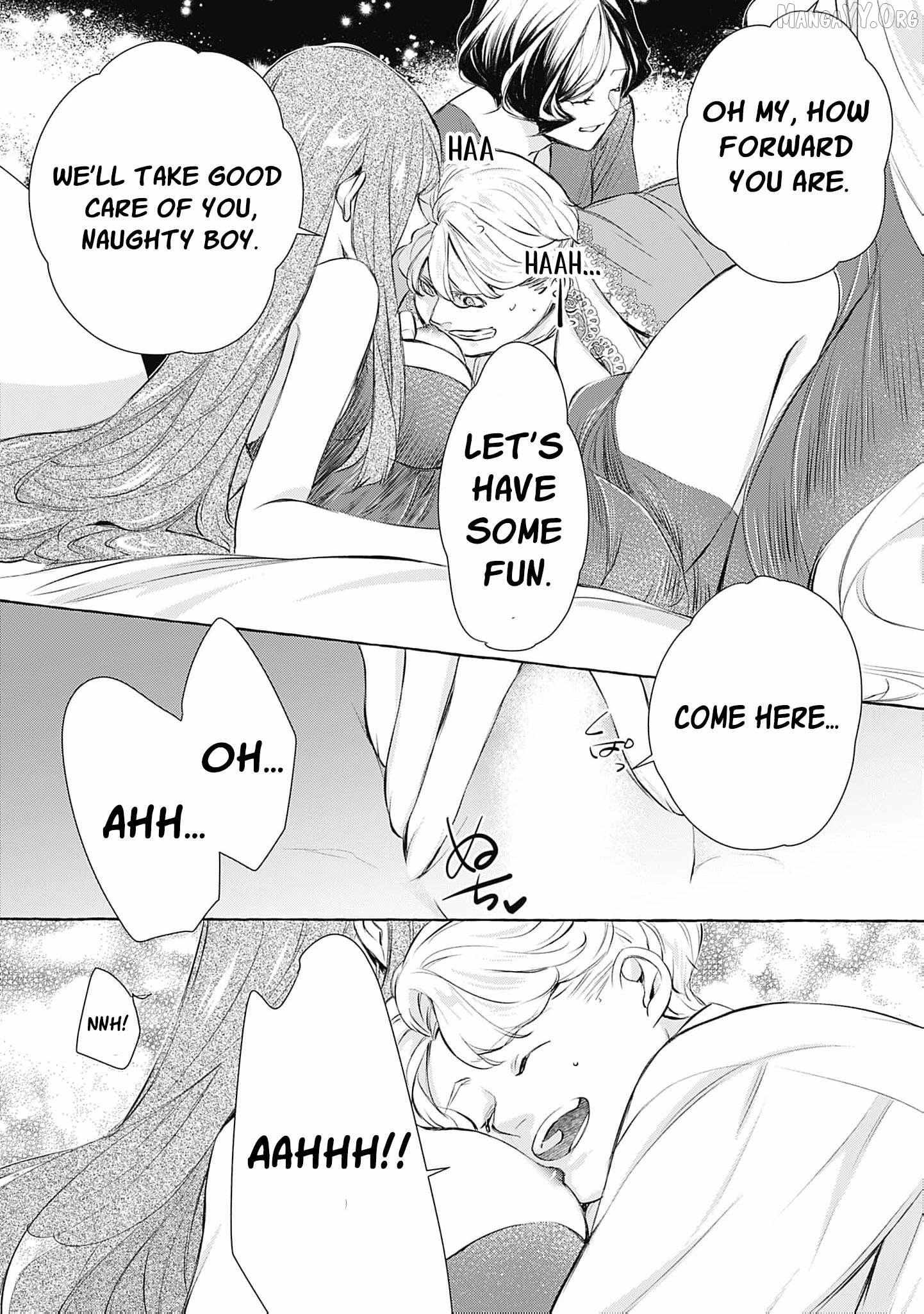 The Uptight Noble Lady and Her Flirtatious Prince Chapter 11 page 27 - 