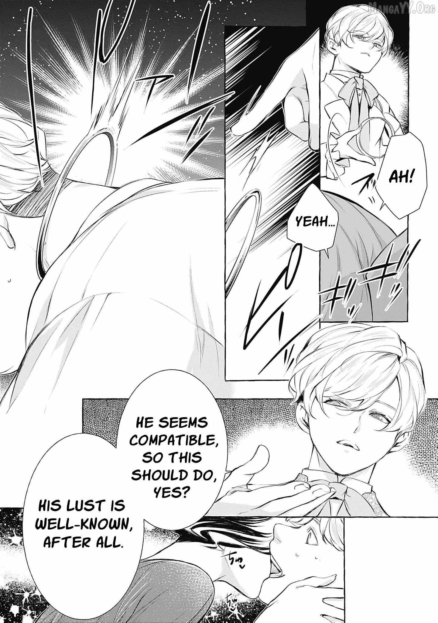 The Uptight Noble Lady and Her Flirtatious Prince Chapter 11 page 28 - 