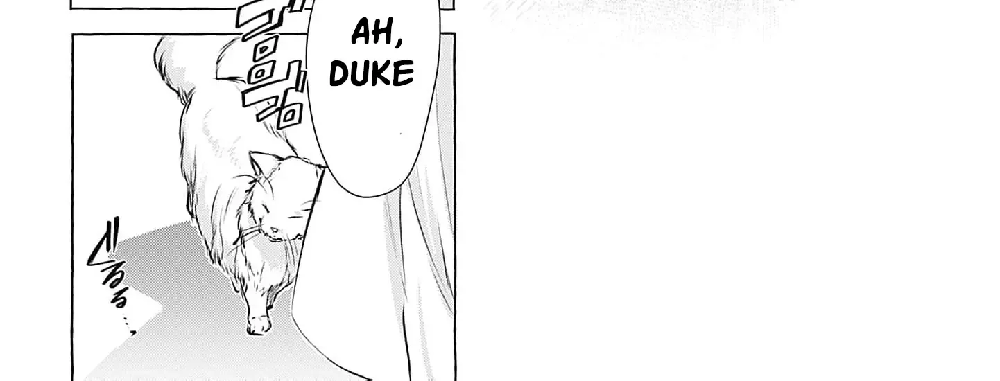 The Uptight Noble Lady and Her Flirtatious Prince Chapter 3 page 20 - 