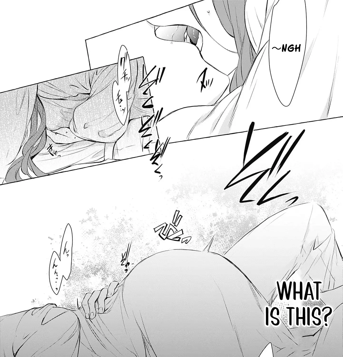 The Uptight Noble Lady and Her Flirtatious Prince Chapter 3 page 71 - 