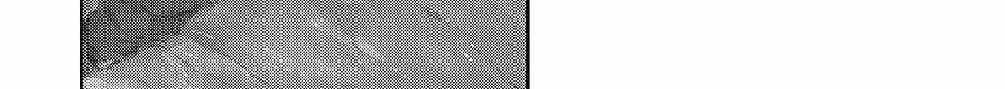 The Useless Tamer Will Turn Into the Top Unconsciously by My Previous Life Knowledge Chapter 7 page 37 - 