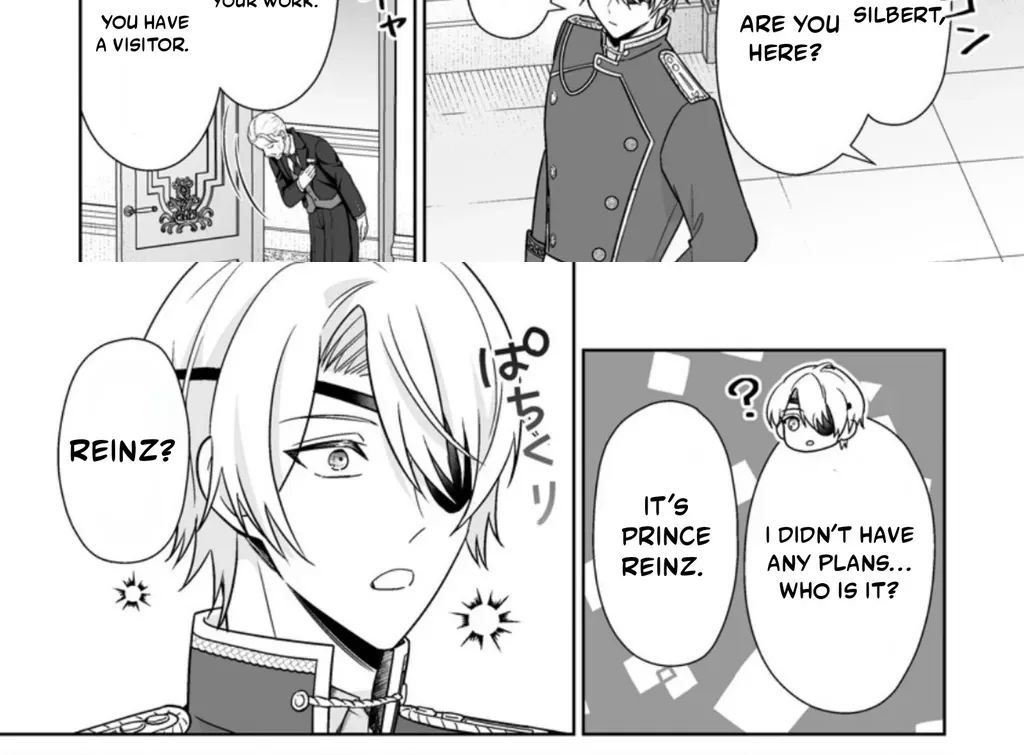 The "Useless" Twin and the Prince from the Neighboring Kingdom Chapter 8.1 page 7 - 