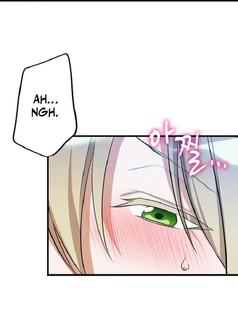 The Vampire’s Sacrificial Bride Chapter 2 page 41 - 