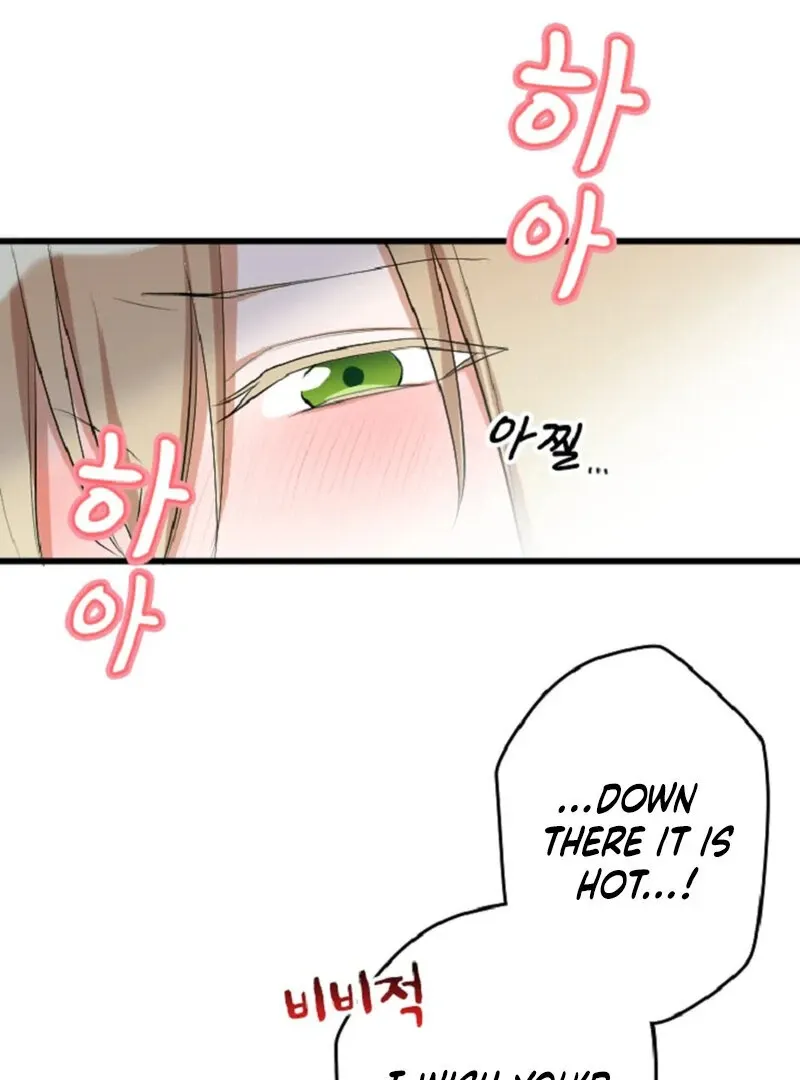 The Vampire’s Sacrificial Bride Chapter 2 page 80 - 