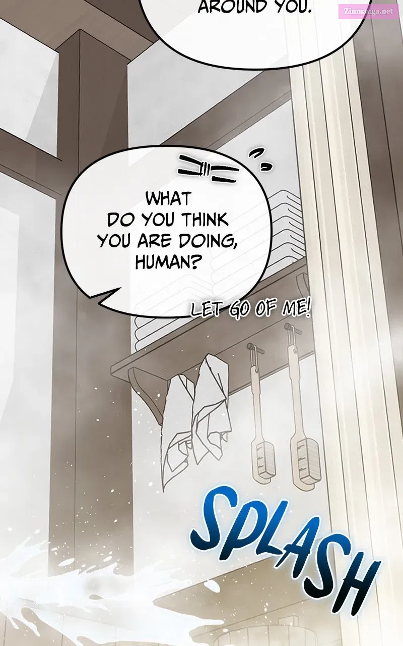 The Vampire’sAlchemy Chapter 5 page 17 - 