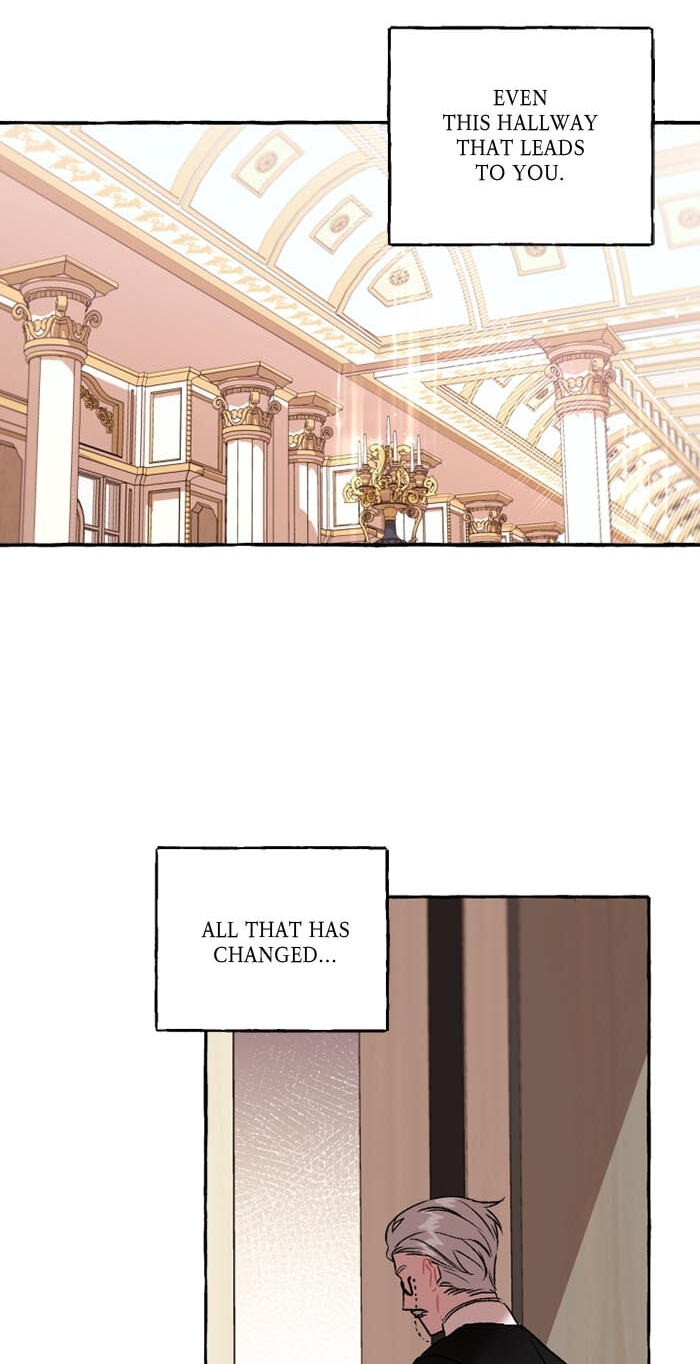 The Vanished Duchess Chapter 19 page 15 - 