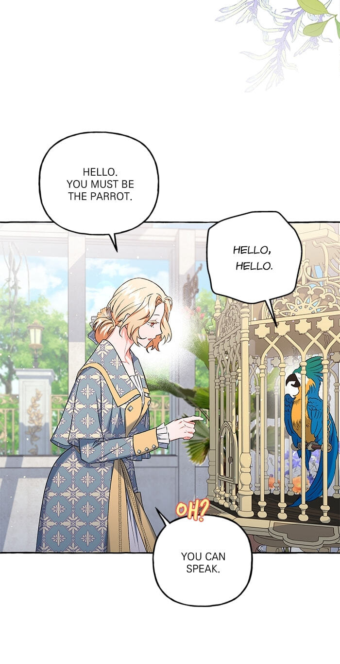 The Vanished Duchess Chapter 50 page 29 - 