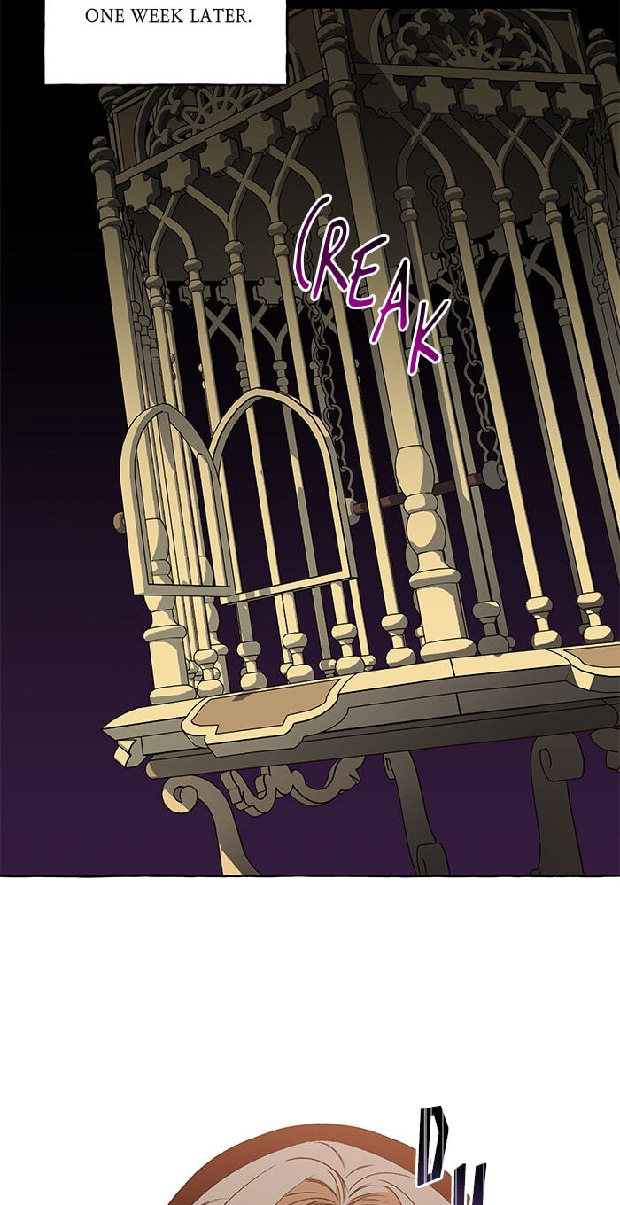 The Vanished Duchess Chapter 50 page 44 - 