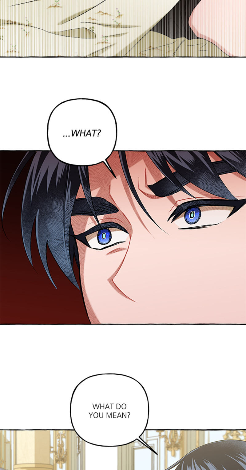 The Vanished Duchess Chapter 66 page 3 - 