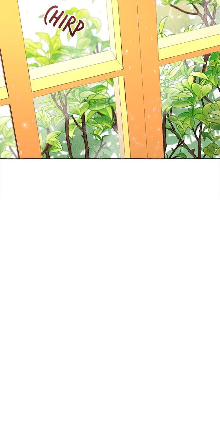 The Vanished Duchess Chapter 7 page 17 - 