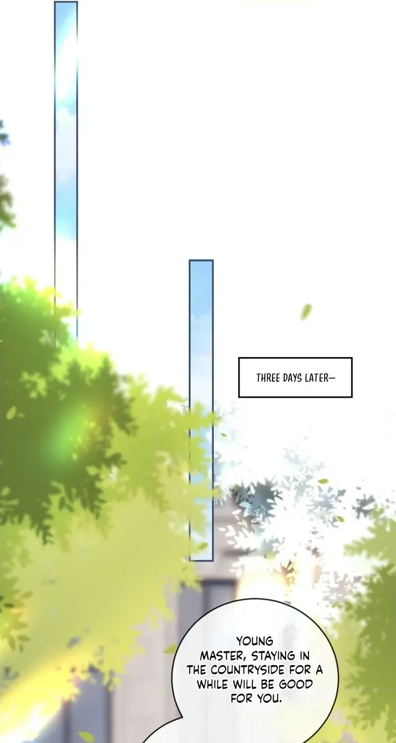 The Vegetative Bigshot Can