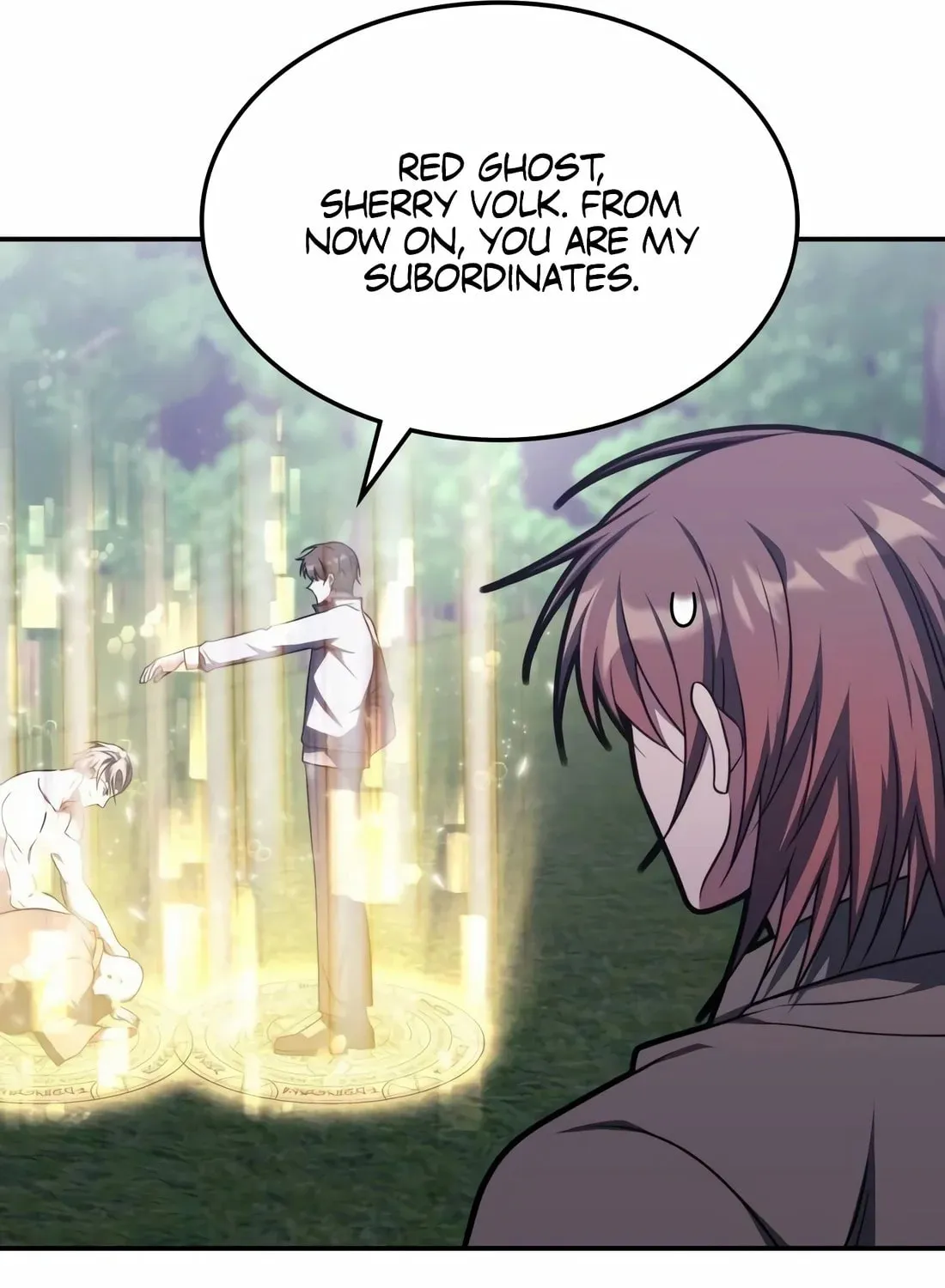 The Veteran Healer Is Overpowered Chapter 12 page 66 - 