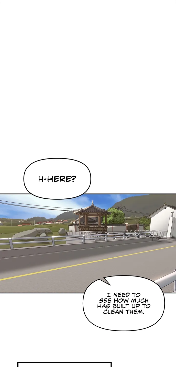 The Village