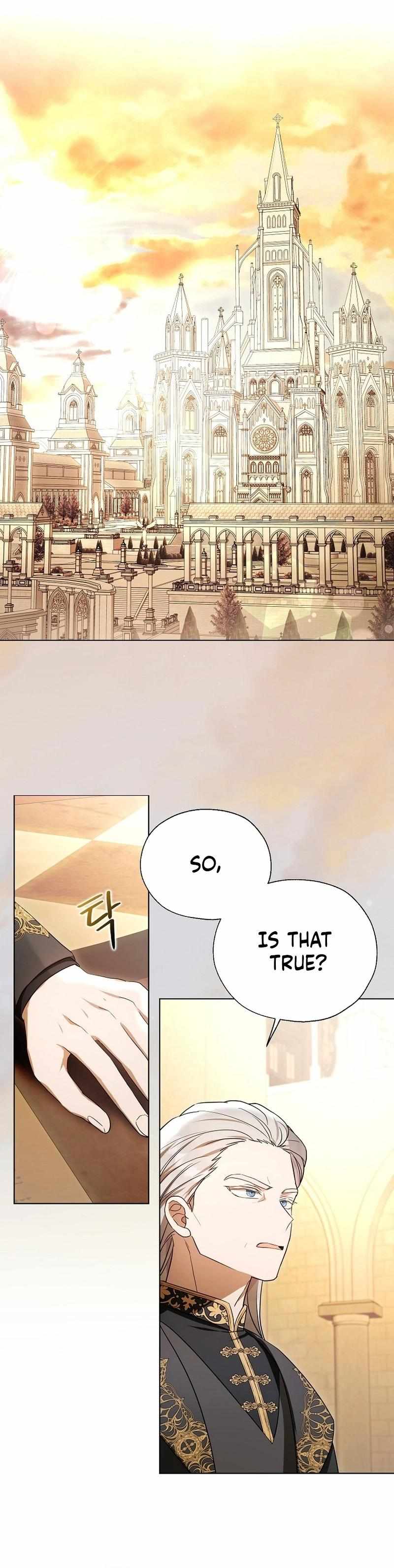 The Villain Baby Makes a Prophecy Chapter 11 page 24 - 