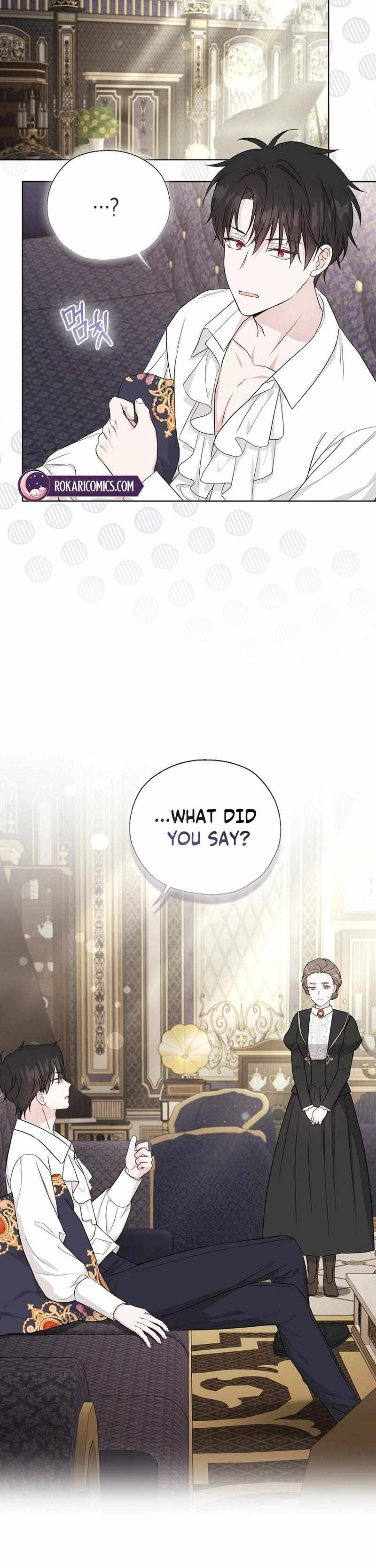 The Villain Baby Makes a Prophecy Chapter 19 page 3 - 
