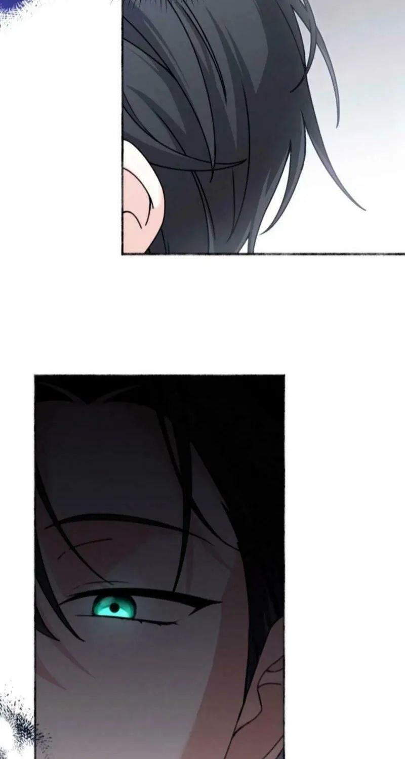 The Villain