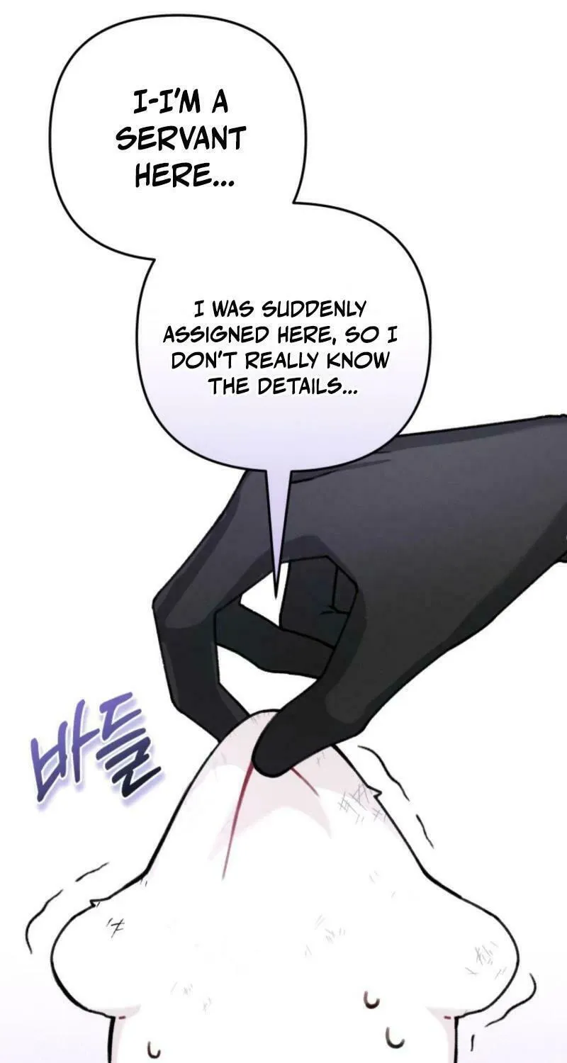 The Villain