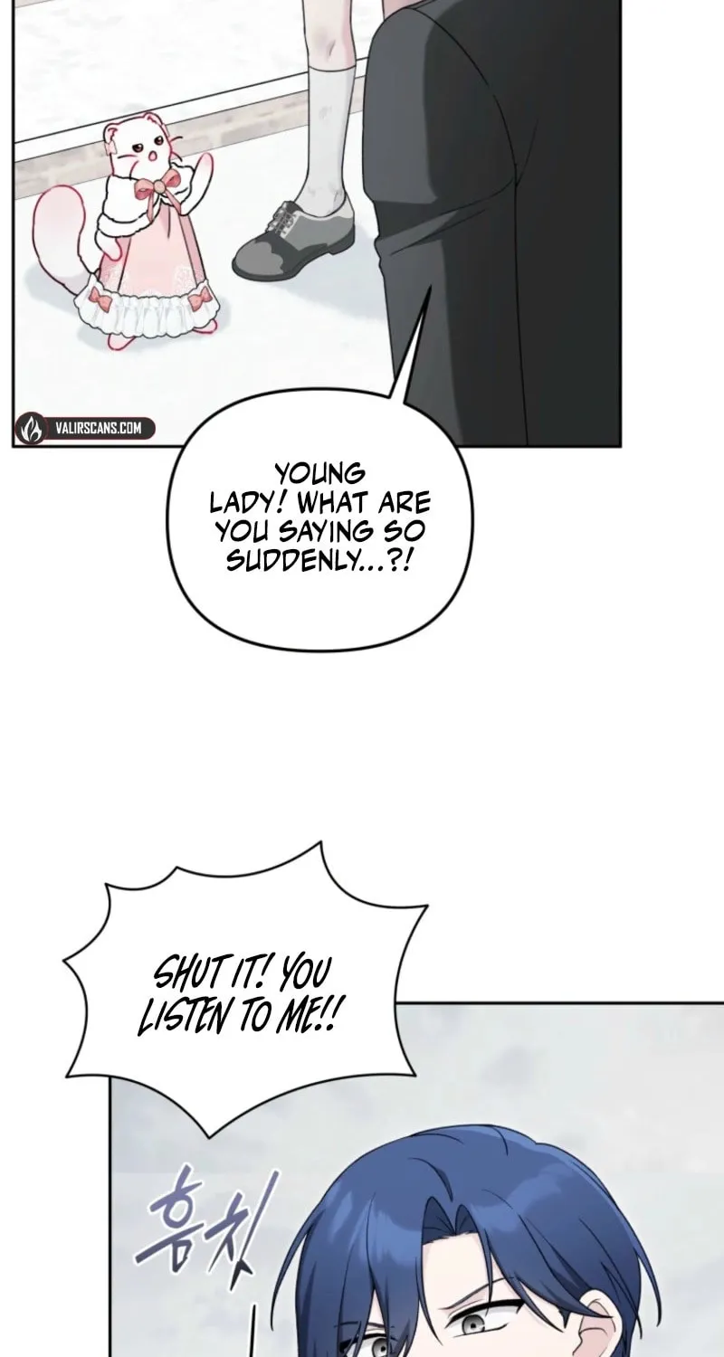 The Villain