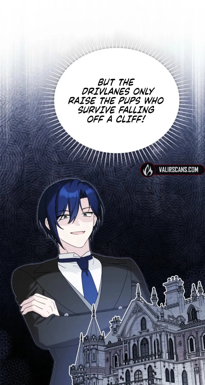The Villain