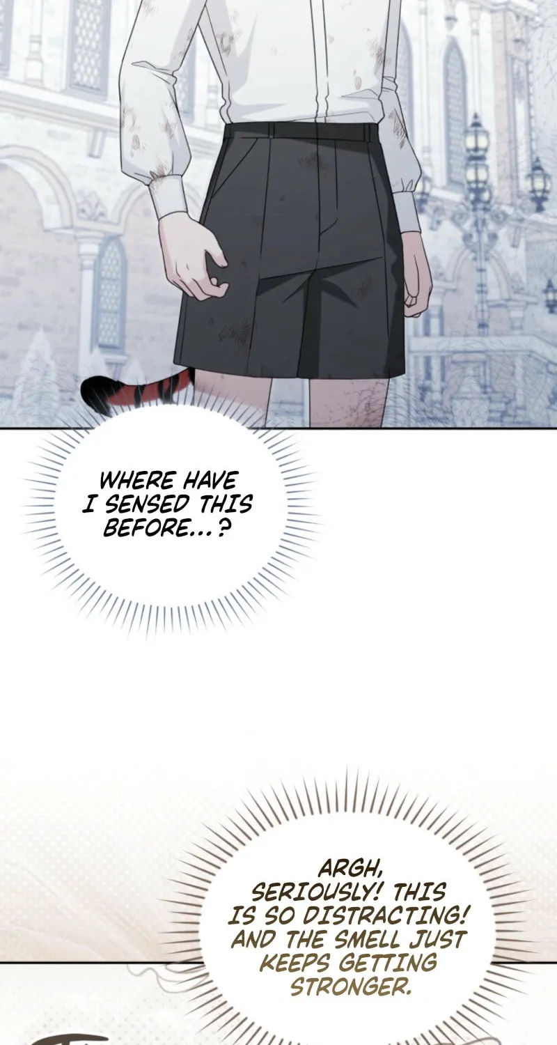 The Villain