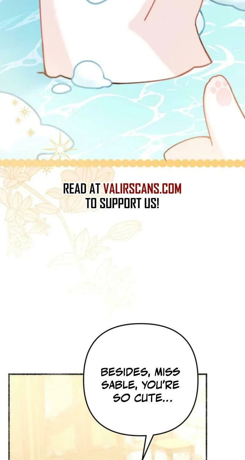 The Villain