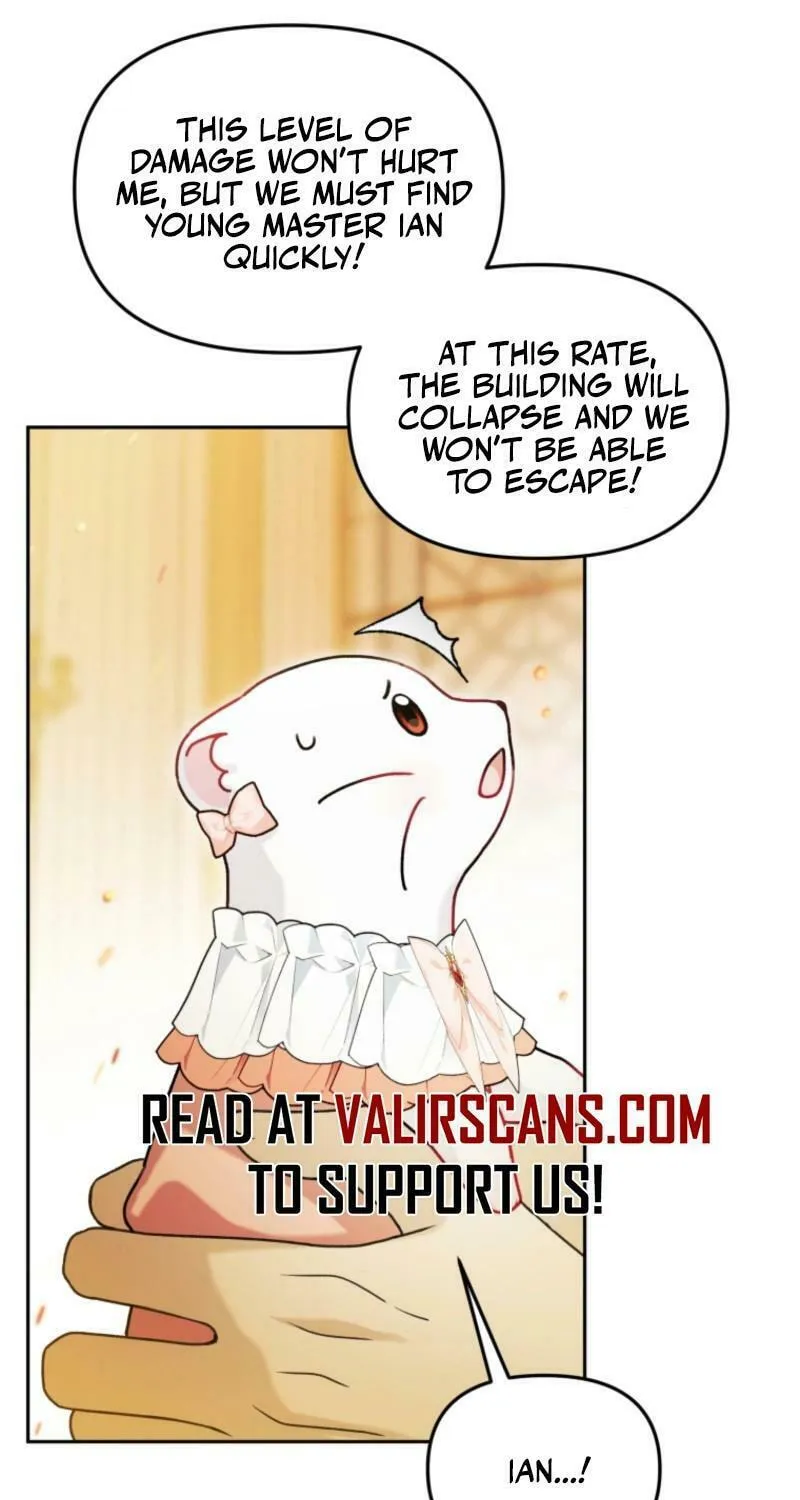The Villain