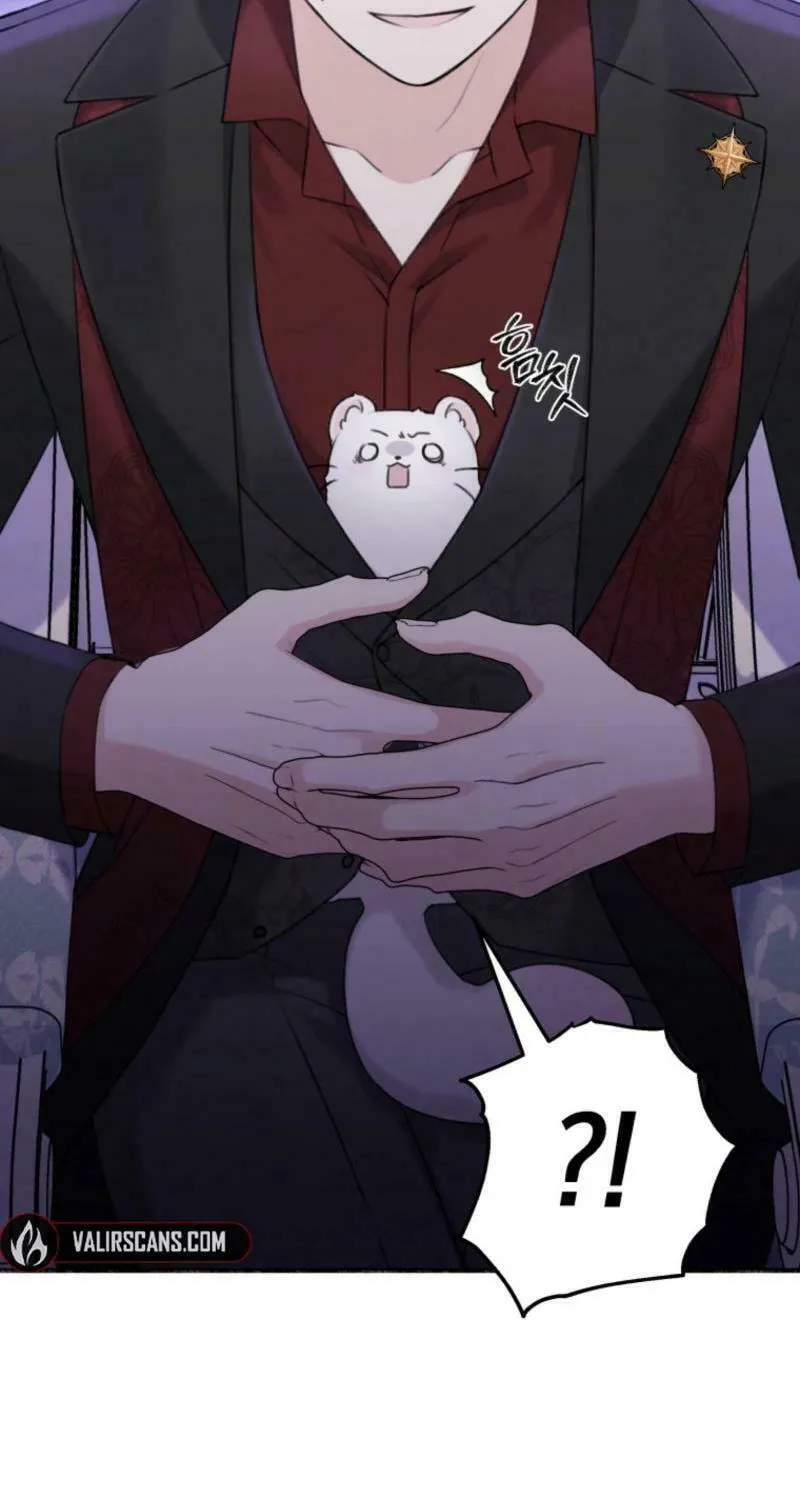 The Villain
