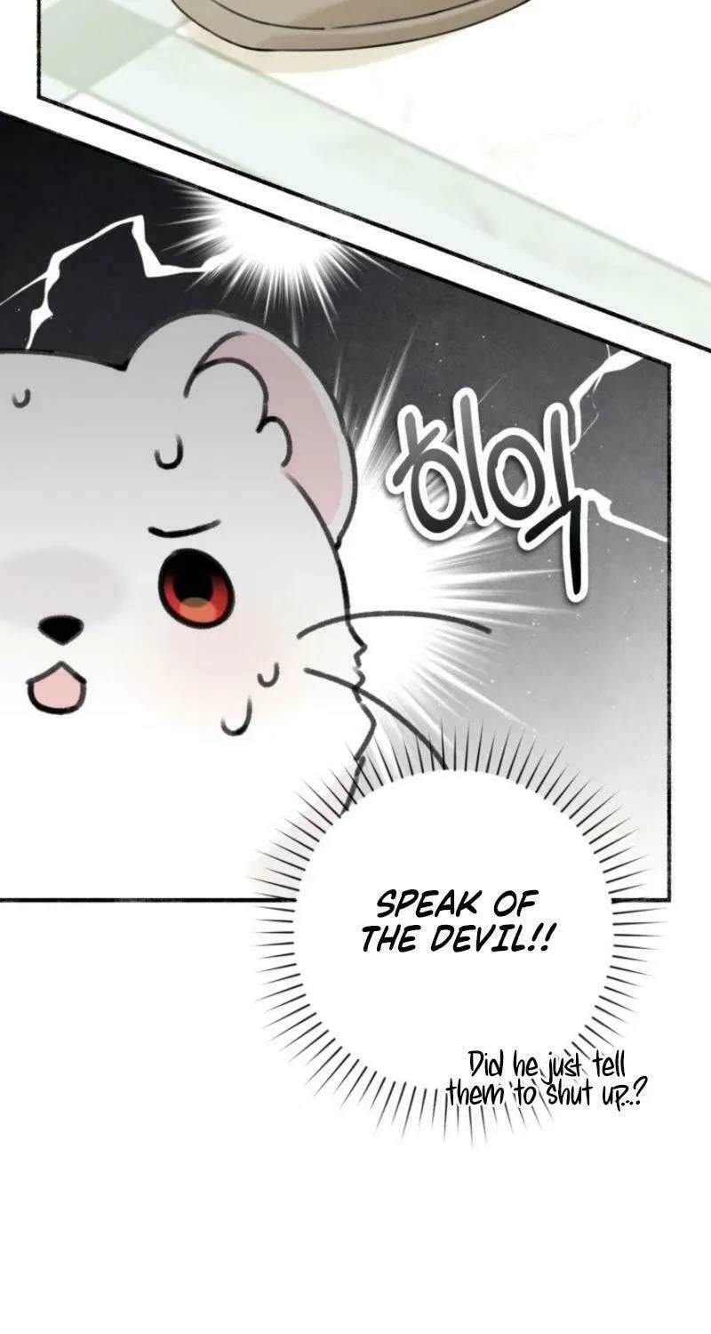 The Villain