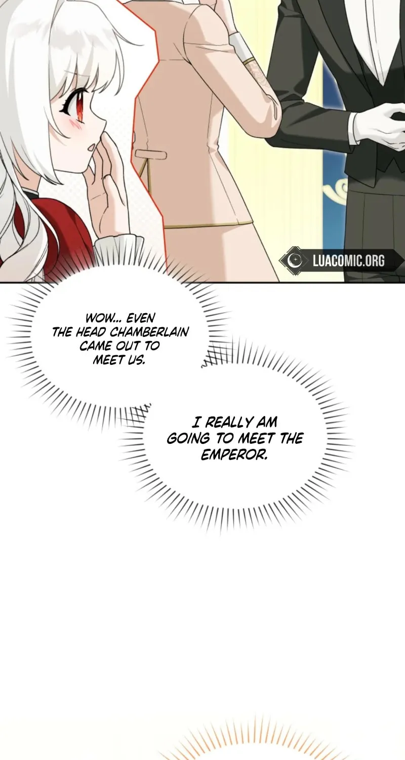 The Villain
