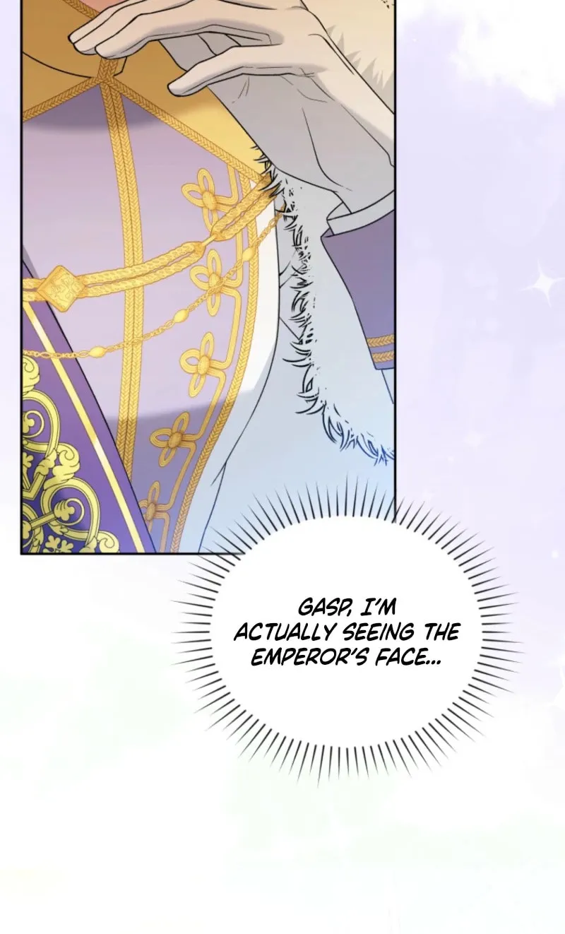 The Villain