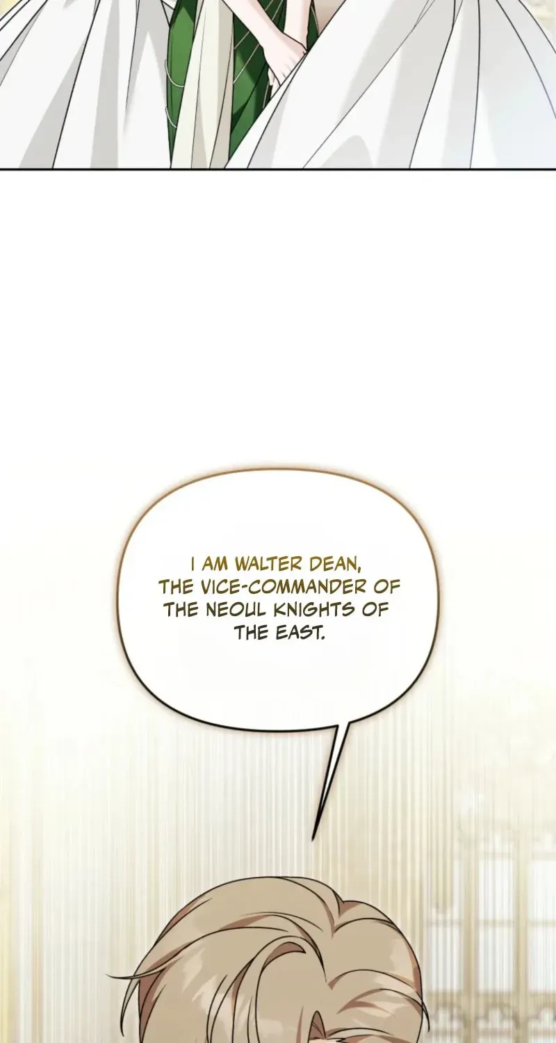The Villain