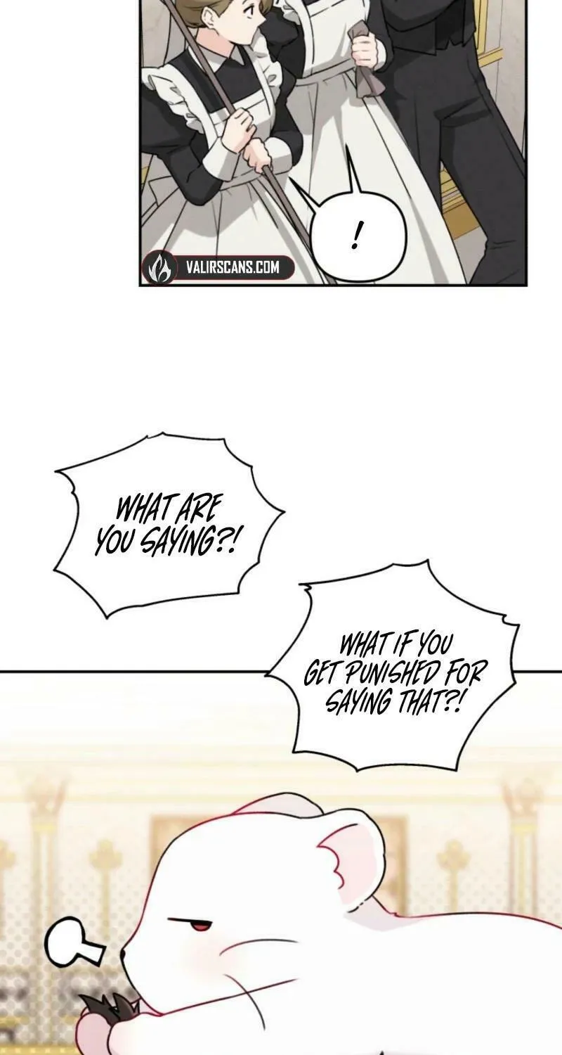 The Villain
