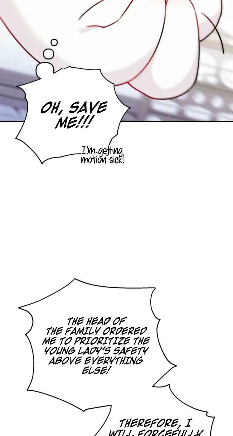 The Villain