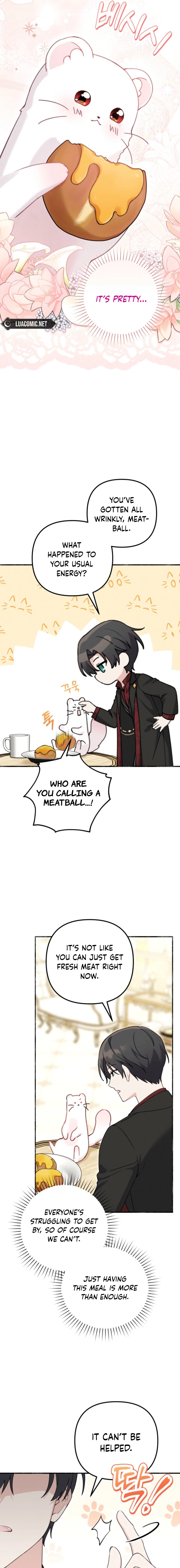 The Villain