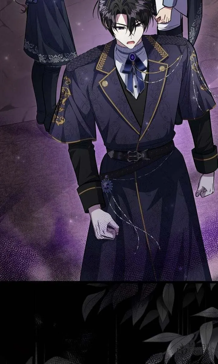 The Villain