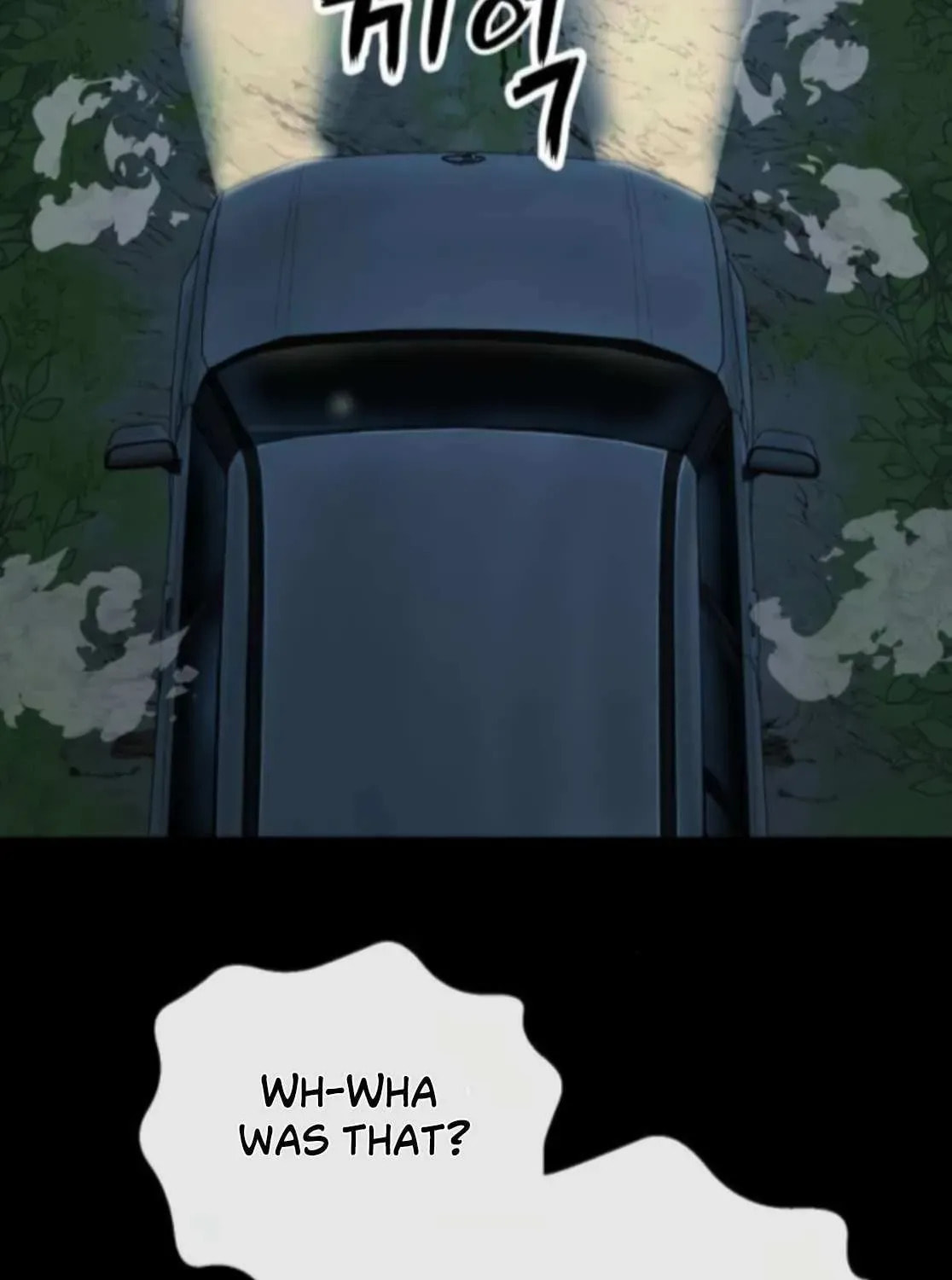 The Villain