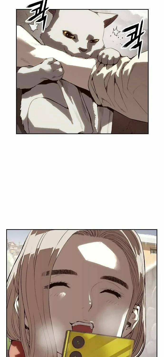 The Villain
