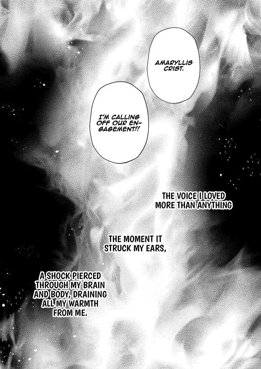 The Villainess After the Broken Engagement Chapter 1 page 2 - 