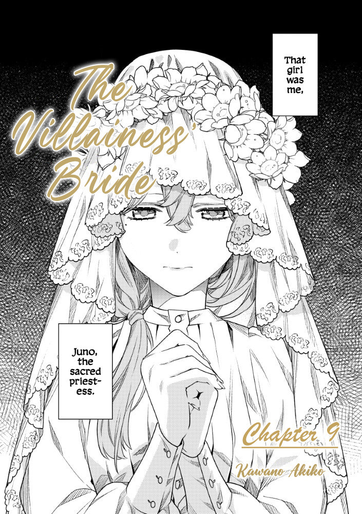 The Villainess