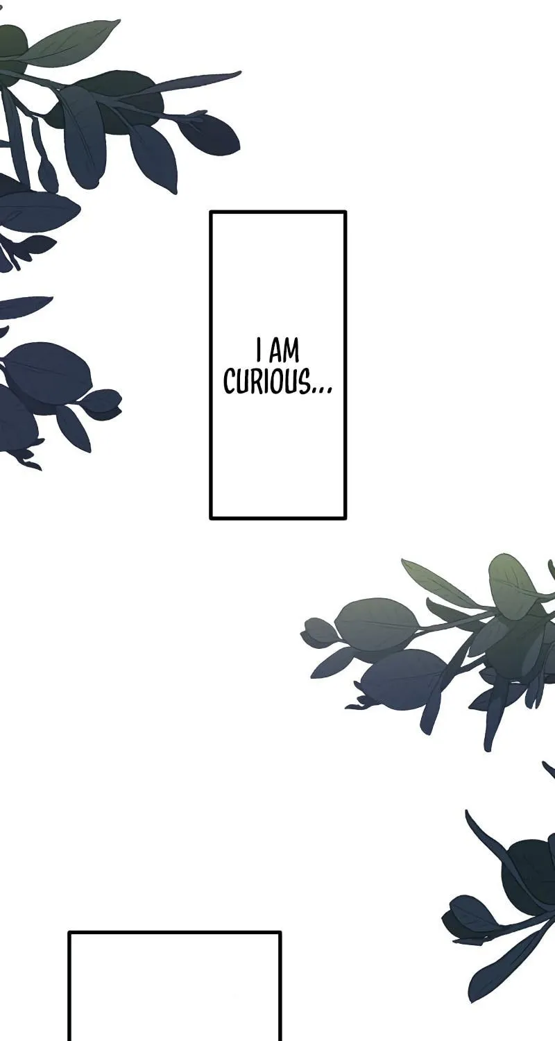 The Villainess Can